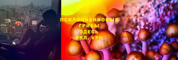 стаф Семикаракорск