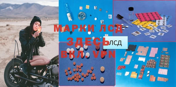 мяу мяу мука Абаза