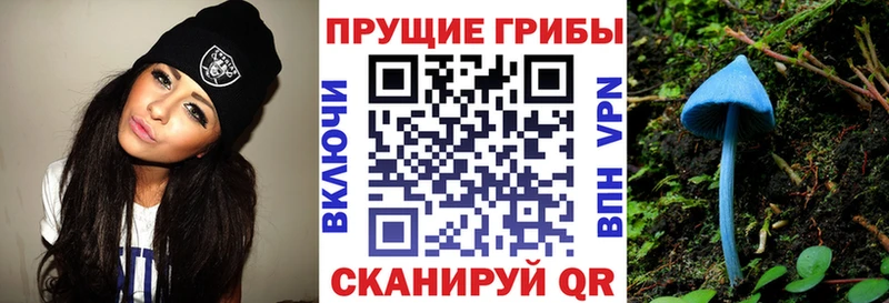 Псилоцибиновые грибы мицелий  Канск 