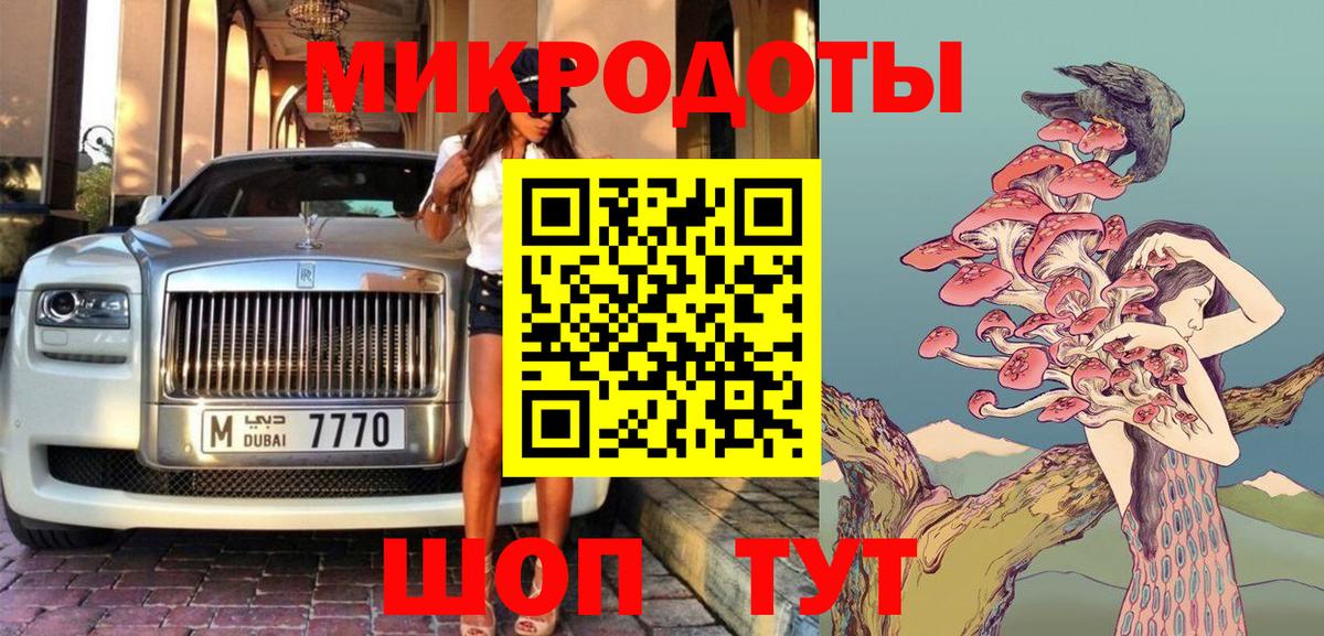 Галлюциногенные грибы Cubensis Канск