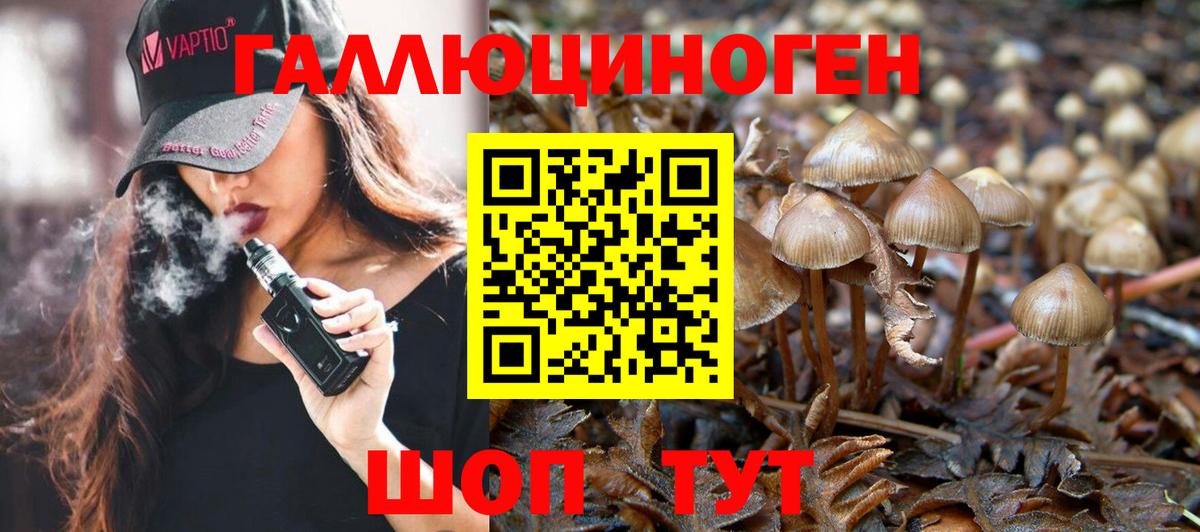 Галлюциногенные грибы GOLDEN TEACHER  Псилоцибиновые грибы Cubensis  Вход с VPN  Канск 